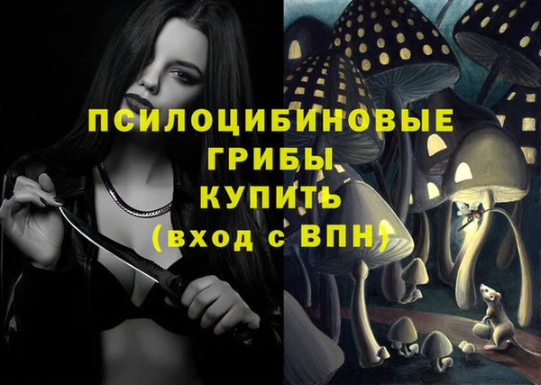 таблы Бородино