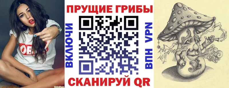 купить наркотики цена  ОМГ ОМГ сайт  Псилоцибиновые грибы прущие грибы  Новое Девяткино 